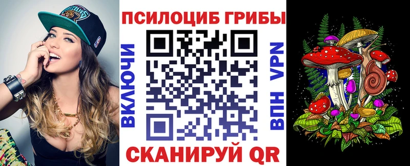 Псилоцибиновые грибы Cubensis  даркнет сайт  Печора 